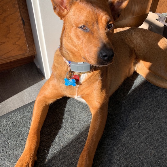 Hi! - Picture 4 of 4